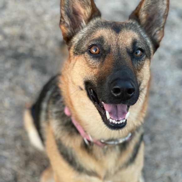 Bundle:great deals at $1.50! - Picture 1 of 1